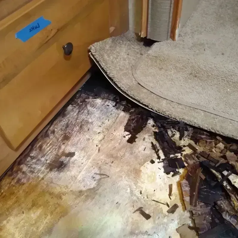 Wood Floor Water Damage in Taylor, NE